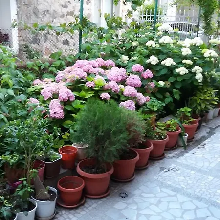 Apartment Trendafilovi *